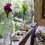 Green Special B&B
